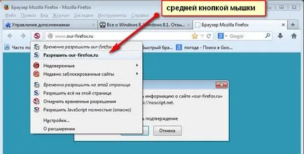 NoScript a firefox