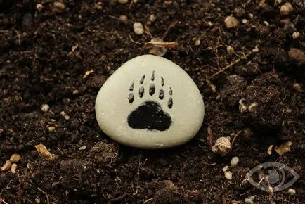 Charm Bear Claw 1