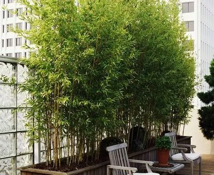 Új élet a balkon szokatlan ötletek javításra