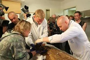 Mit kell tennem, hogy a haj sűrűvé Mit kell tennem, hogy a haj sűrűvé