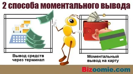 Mivel készpénz WebMoney