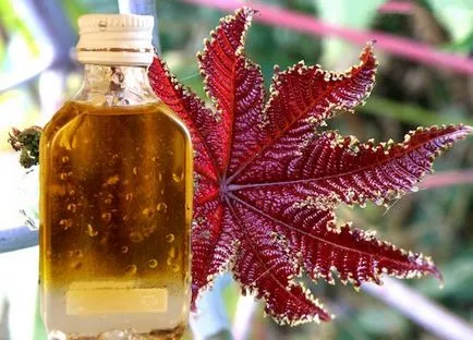 Hogyan növekszik ricinus