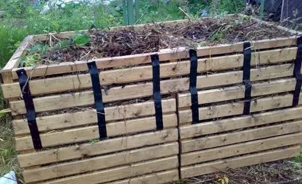 A feldolgozás a üvegházban nevelt uborka betegségek által, kártevők (liter meleg vízben) Feldolgozás uborka az üvegházban a betegségek, kártevők