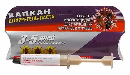 Poison hangyák az otthoni, mint egy lakás érdemesebb méreg (hangyák) Poison hangyák az otthoni, mint egy lakás, hogy jobb irányt