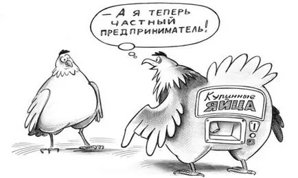 Nyitva SP online áruház