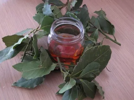 Húsleves Leafs alkalmazás használatát, kár