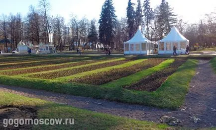 Sokolniki Park - egy egyedülálló nyaralóhely bárki érdekes Budapesten