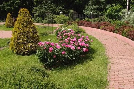Sokolniki Park Moszkva elérni, metró és címét, térkép (solymász) Sokolniki Park Moszkva elérni, metró és címét, térkép
