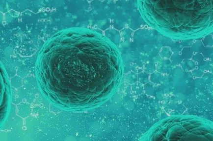 Papilloma, kezelése és okai, hogyan kell kezelni a HPV vírus emberekben (papilloma) Papilloma, kezelése és okai, hogyan kell kezelni a HPV vírus emberben