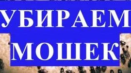 Kiültetés szobanövények gyorsan és egyszerűen