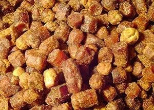 Bee pollen és hasznos gyógyászati tulajdonságokkal, hogyan lehet (előnyös tulajdonságait pollen) Bee pollen hasznos és terápiás tulajdonságokkal, mint vevő