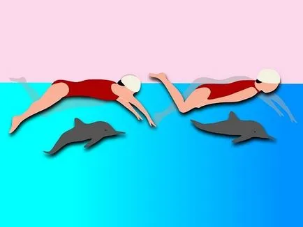 Úszás delfin pillangó úszás technika, a különbségek és sajátosságok