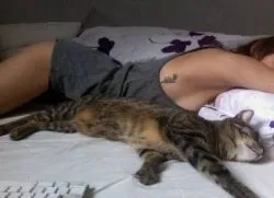 Miért nem tudok aludni egy macska