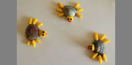 Kézműves tengeri kagyló, anyaság - terhesség, szülés, a táplálkozás, az oktatás