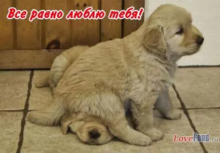 Képek minden, ami