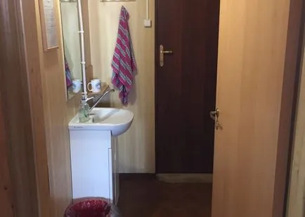 Hogyan élnek az Antarktiszon
