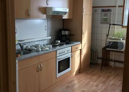 Hogyan élnek az Antarktiszon