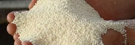 Fejtrágyázás fokhagyma, ősszel és tavasszal - tippek és tanácsok a kertészek (tavaszi fokhagymás öntettel) Fejtrágyázás fokhagyma, ősszel és tavasszal - tippeket és tanácsokat kertészek