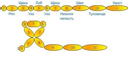 Ezekből készült gyöngyök (93 fotó) Master Class és példái érdekes játékok
