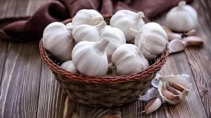 Fejtrágyázás fokhagyma, ősszel és tavasszal - tippek és tanácsok a kertészek (fokhagyma) Fejtrágyázás fokhagyma, ősszel és tavasszal - tippeket és tanácsokat kertészek