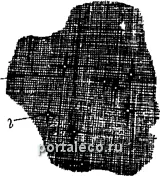 Borítók test - földigiliszták