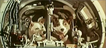 Flight Belka és Strelka térben, mint volt