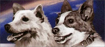 Flight Belka és Strelka térben, mint volt