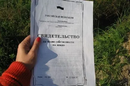 Vásárlás kerti papírmunka, mit kell keresni, hogyan lehet egy üzletet