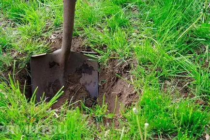 Öntsük veteményeskert megfelelően (20-30 liter vízhez) Öntsük veteményeskert jobb