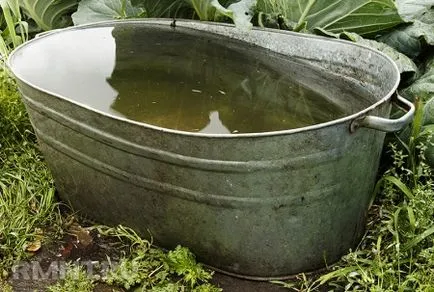 Öntsük veteményeskert megfelelően (20-30 liter vízhez) Öntsük veteményeskert jobb