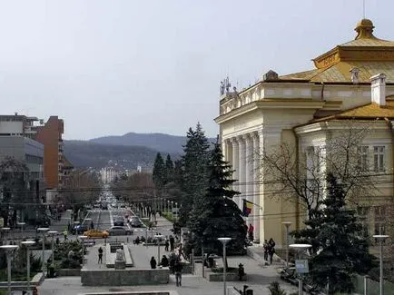 Fogalma, típusai önkormányzatok