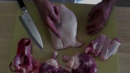 Lépésről lépésre, hogyan kell helyesen és gyorsan vágja a kacsa, video (mint egy kövér madár) Lépésről lépésre, hogyan kell helyesen és gyorsan vágja a kacsa, videó