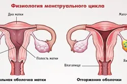Az okok a betegségek menstruáció előtt