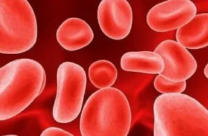 Okok és hogyan csökkenthető az magas a vér hemoglobin nők és férfiak (ok) Okok és hogyan csökkenthető az magas a vér hemoglobin a nők és férfiak