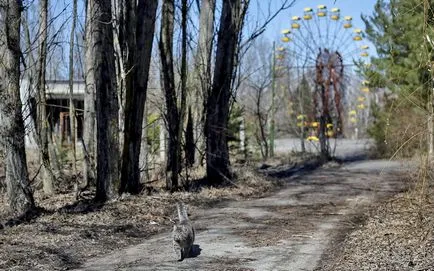 Pripyat - egy szellemváros ma - a legjobb fotó!