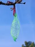 Séta a nyári gyerekek (születéstől 3 éves korig) - aktív pihenés - egészséges életmód - keményedő (séta) Séta a nyári gyerekek (születéstől 3 éves korig) - aktív pihenés - az egészséges életmód - edzés