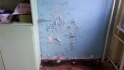 A korhadt padló első osztályosok