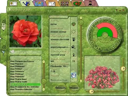 Programok terve felülvizsgálata és ingyenes online programok külvárosi területen tervezés