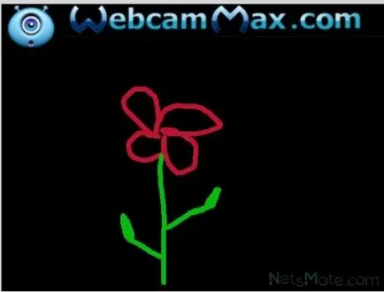 WebcamMax program skype