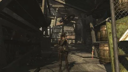 Passage Tomb Raider (2013)