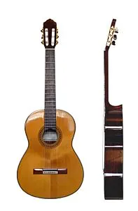 Kivonat klasszikus gitár - elvonatkoztat Bank, esszék, beszámolók, dolgozatok, disszertációk