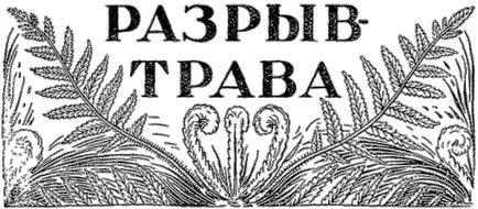 A rés fű