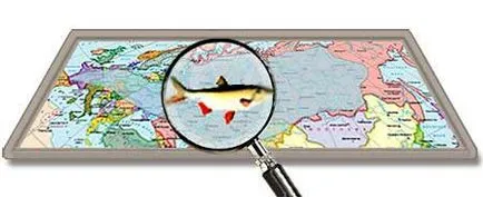 Hal IDE - megjelenése, ívik, halászati, csaliként és módszerek (eljárások) Fish ide - megjelenés, ívik, horgászat, csali és a halászati módszerek