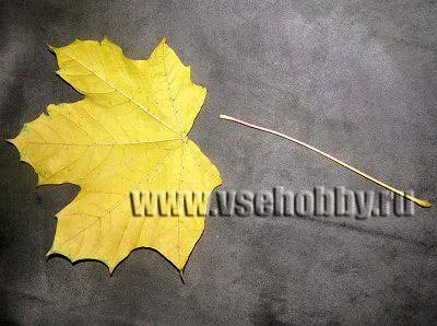 Rose a levelekről a kezét mester osztály (kéz) Rose a levelekről a kezét mesterkurzus