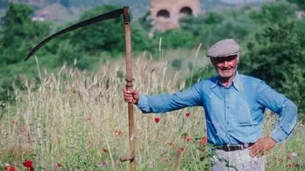 Kerti szerszámok és eszközök típusait és a funkciók leírását, egy álom ház (kerti szerszámok) Kerti szerszámok és eszközök típusait és a funkciók leírását, egy álom otthon