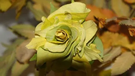 Roses juhar levelek, Ország Masters (Pedagógusnap) Roses juhar levelek, ország művészek