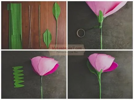 Roses papír saját kezűleg