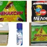 A leghatékonyabb eszköze a bolhák a lakásban és a ház (effektív) A leghatékonyabb eszköze a bolhákat a ház és lakás
