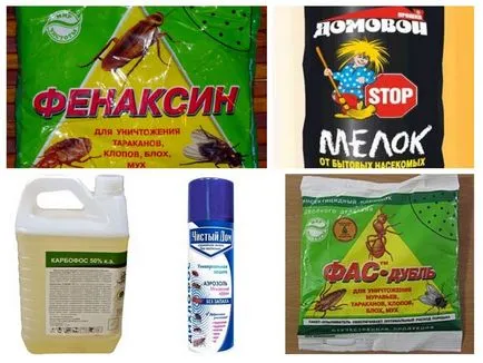 A leghatékonyabb eszköze a bolhák a lakásban és a ház (effektív) A leghatékonyabb eszköze a bolhákat a ház és lakás