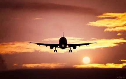 Plane az égen fotó
